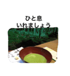 自然 花（個別スタンプ：7）
