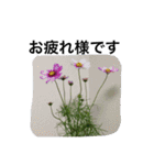 自然 花（個別スタンプ：14）