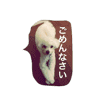 ゆきち②（個別スタンプ：5）