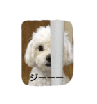ゆきち②（個別スタンプ：6）