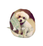 ゆきち②（個別スタンプ：9）