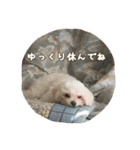 ゆきち②（個別スタンプ：18）