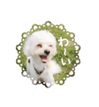 ゆきち②（個別スタンプ：20）