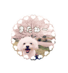 ゆきち②（個別スタンプ：23）