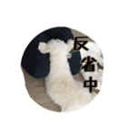 ゆきち②（個別スタンプ：30）