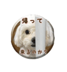ゆきち②（個別スタンプ：31）