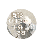 ゆきち②（個別スタンプ：35）