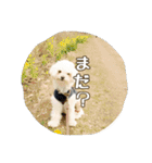ゆきち②（個別スタンプ：36）