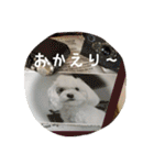 ゆきち②（個別スタンプ：39）