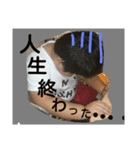 親方の軌道哀楽（個別スタンプ：5）