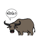 Sat lok om yim Lollipop animal world（個別スタンプ：9）