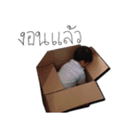 TRIPLET ANDA ADA AIDA（個別スタンプ：8）