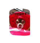 つぶやきうたさん。（個別スタンプ：9）
