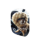 つぶやきうたさん。（個別スタンプ：11）