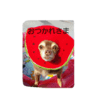つぶやきうたさん。（個別スタンプ：12）