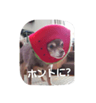 つぶやきうたさん。（個別スタンプ：13）