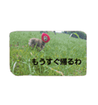 つぶやきうたさん。（個別スタンプ：16）
