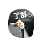 つぶやきうたさん。（個別スタンプ：17）