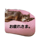 つぶやきうたさん。（個別スタンプ：26）