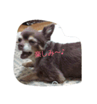 つぶやきうたさん。（個別スタンプ：31）