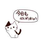 朝昼夜の猫日本語（個別スタンプ：1）