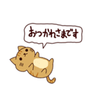 朝昼夜の猫日本語（個別スタンプ：2）