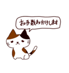 朝昼夜の猫日本語（個別スタンプ：3）