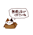 朝昼夜の猫日本語（個別スタンプ：11）