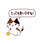 朝昼夜の猫日本語（個別スタンプ：19）