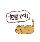 朝昼夜の猫日本語（個別スタンプ：22）