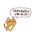 朝昼夜の猫日本語（個別スタンプ：34）