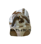 ココタン☆（個別スタンプ：5）