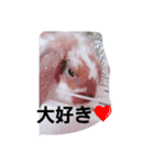ココタン☆（個別スタンプ：7）