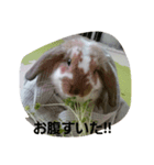 ココタン☆（個別スタンプ：8）