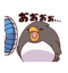 ものぐさペンギン(夏)（個別スタンプ：3）