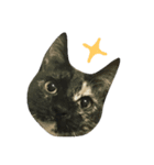 アンズにん（個別スタンプ：1）