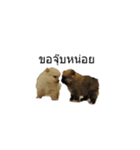 my dog and my puppy（個別スタンプ：2）