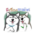 Husky Coffee Dog 2（個別スタンプ：8）