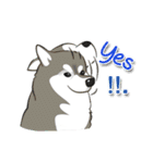 Husky Coffee Dog 2（個別スタンプ：10）