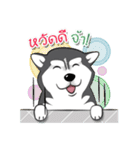 Husky Coffee Dog 2（個別スタンプ：11）