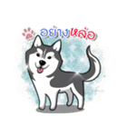 Husky Coffee Dog 2（個別スタンプ：13）