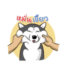 Husky Coffee Dog 2（個別スタンプ：19）