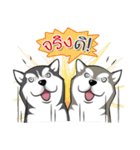 Husky Coffee Dog 2（個別スタンプ：20）