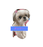 るぷ2（個別スタンプ：1）