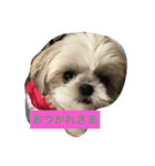 るぷ2（個別スタンプ：5）