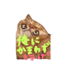 茶トラ猫にゃむ1（個別スタンプ：11）