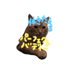 茶トラ猫にゃむ1（個別スタンプ：13）
