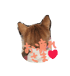 茶トラ猫にゃむ1（個別スタンプ：14）