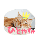 茶トラ猫にゃむ1（個別スタンプ：23）