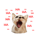 slave cat v.1（個別スタンプ：2）